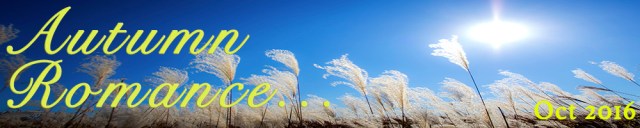 2016-10-autumn-romance
